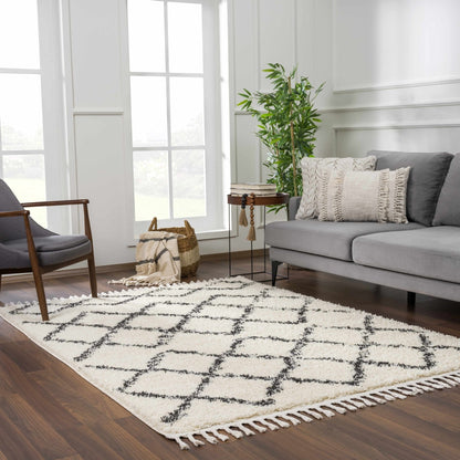 Wallagrass Moroccan Shag Rug - Clearance - Quahog Bay Bedding