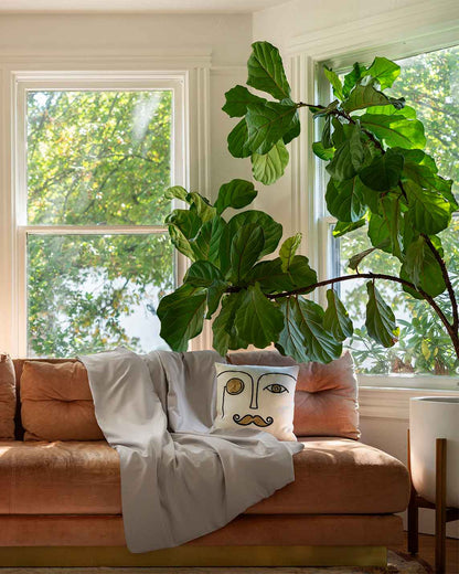 Weighted Blanket Duvet Cover - 100% Cotton Covers For Weighted Blankets - Quahog Bay Bedding