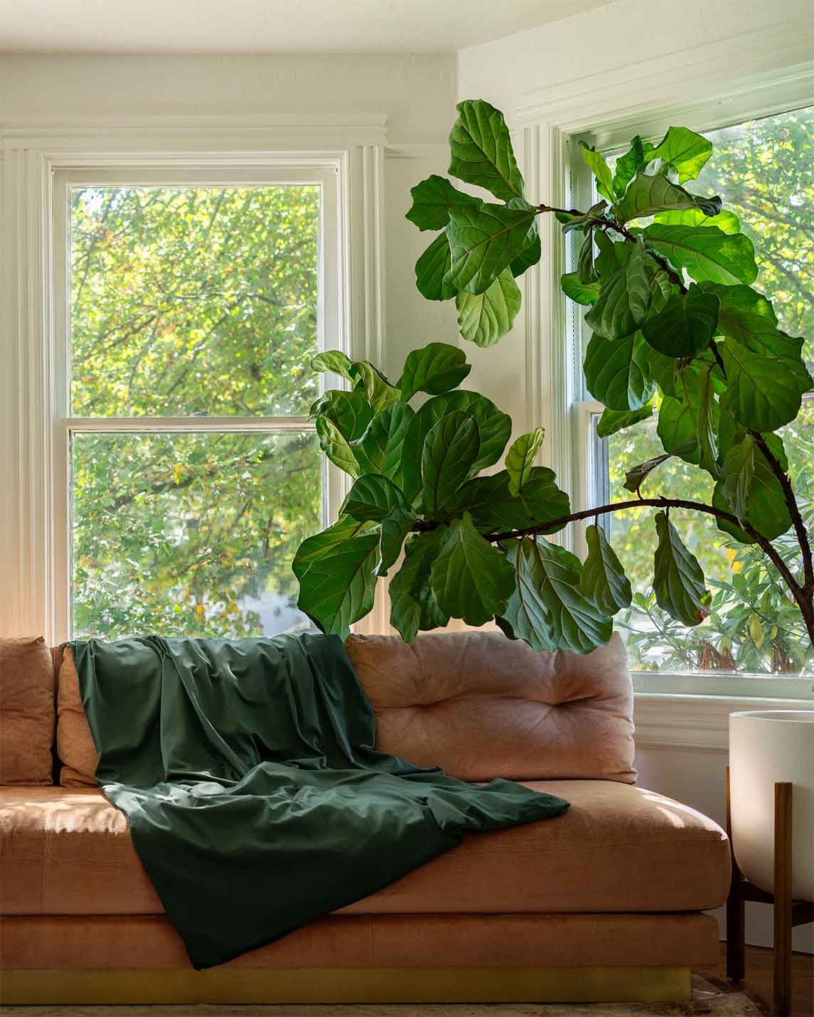 Weighted Blanket Duvet Cover - 100% Cotton Covers For Weighted Blankets - Quahog Bay Bedding